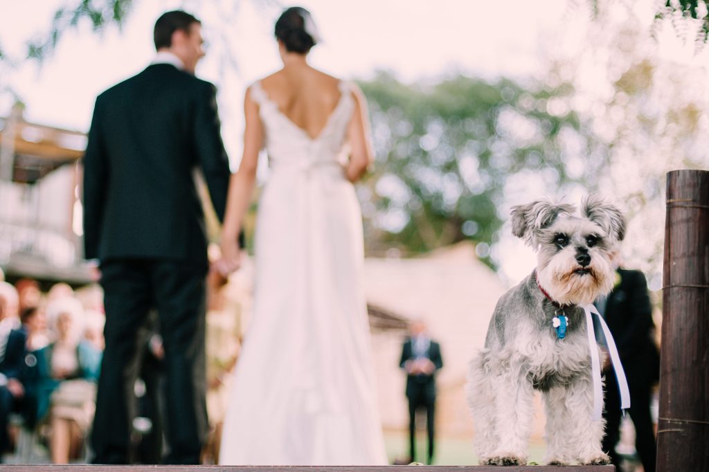 WISE Wines Wedding Venue Margaret River