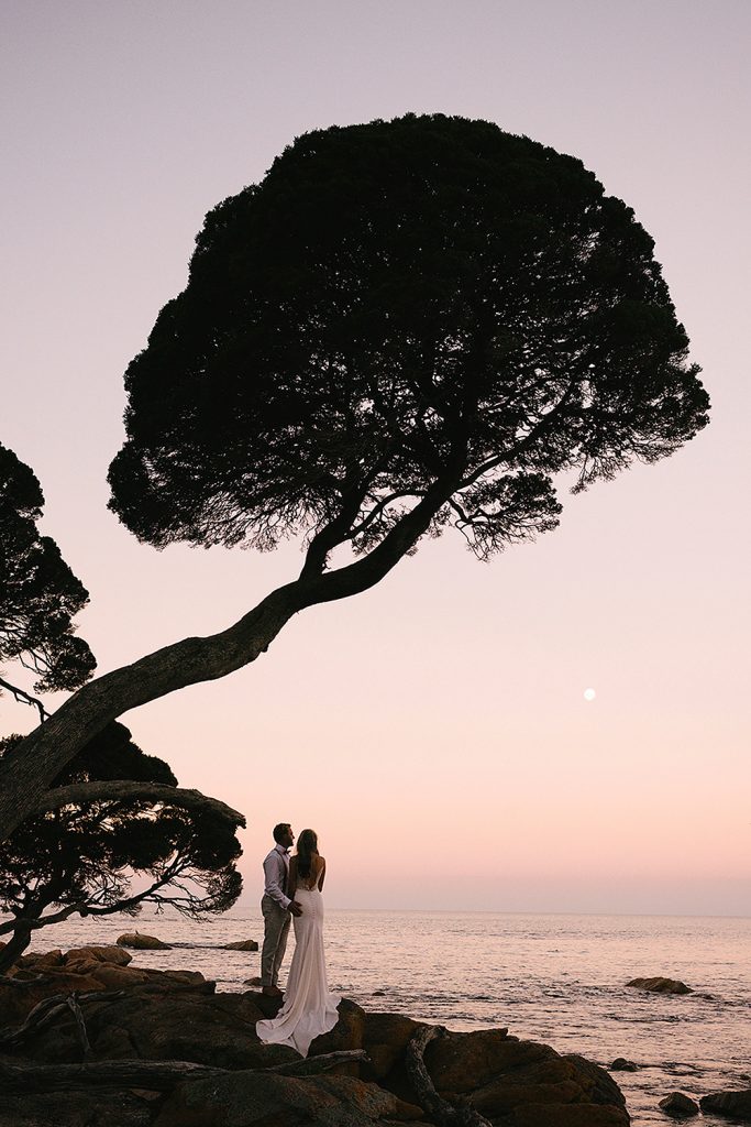 bride and groom stand under amazing character tree overlooking bunker bay sunset