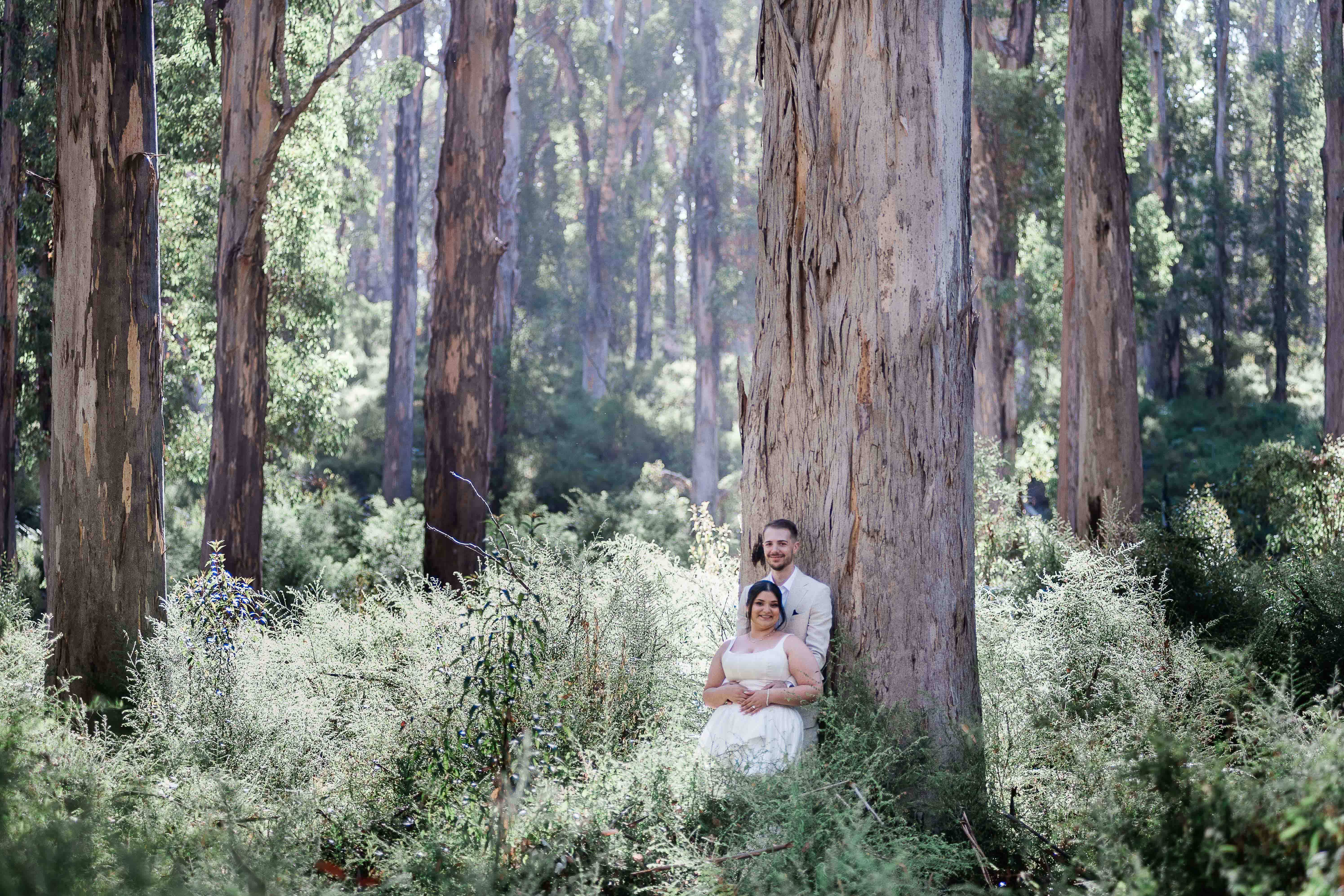 bride and groom cuddle next to giant karri tree in the middle of Boranup Forest Margaret River