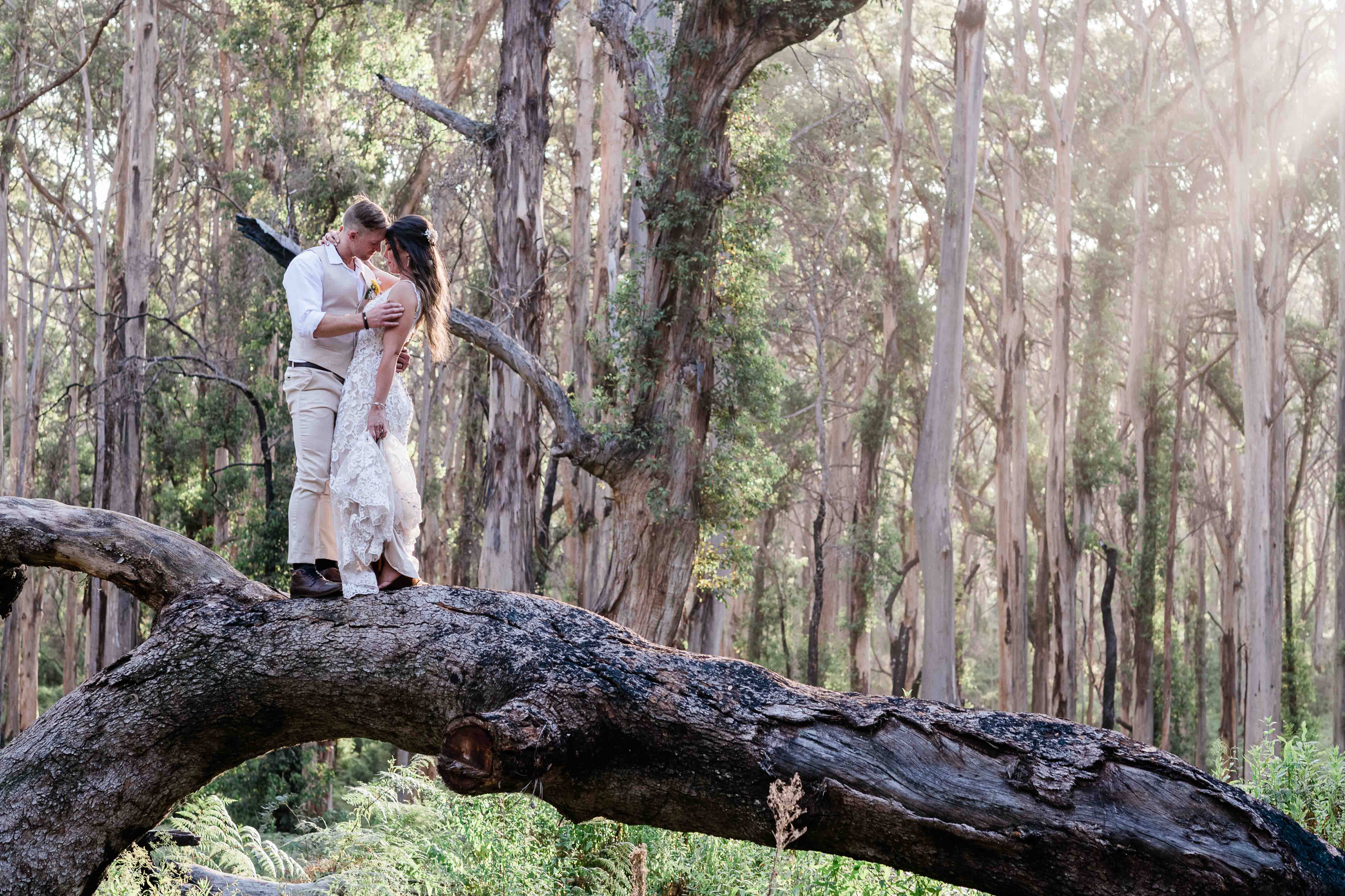Couple kissing on a fallen karri log in Boranup Forest Leeuwin-Naturaliste National Park Margaret River elopement photography by John Rice.