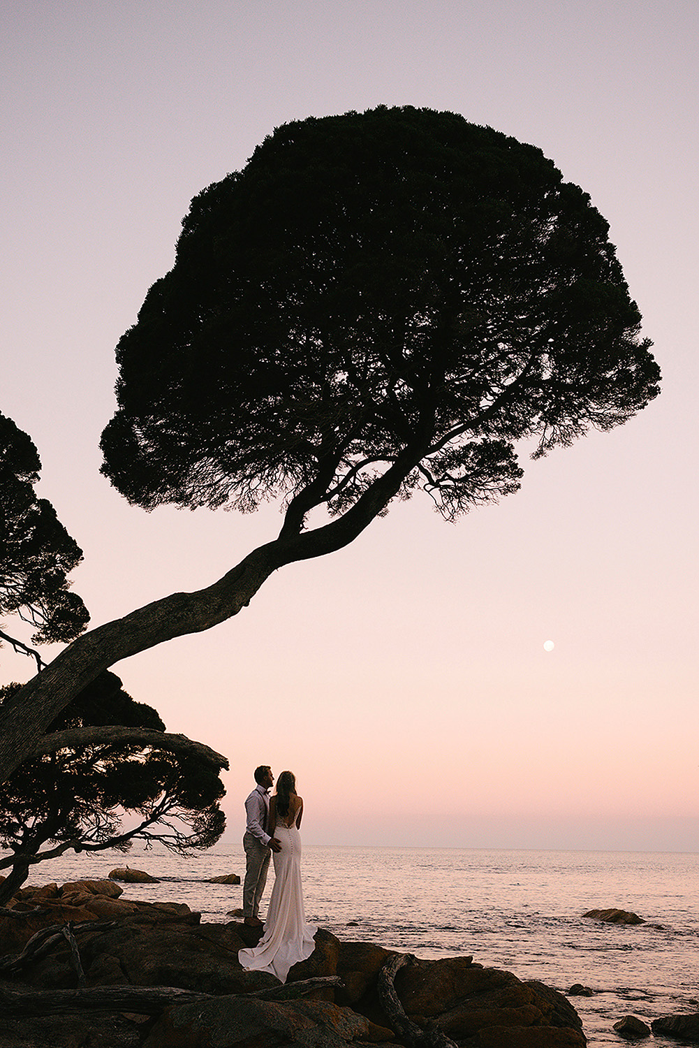 Couple eloping at sunset beneath coastal tree, Bunker Bay, Dunsborough, South West WA, photographed by John Rice