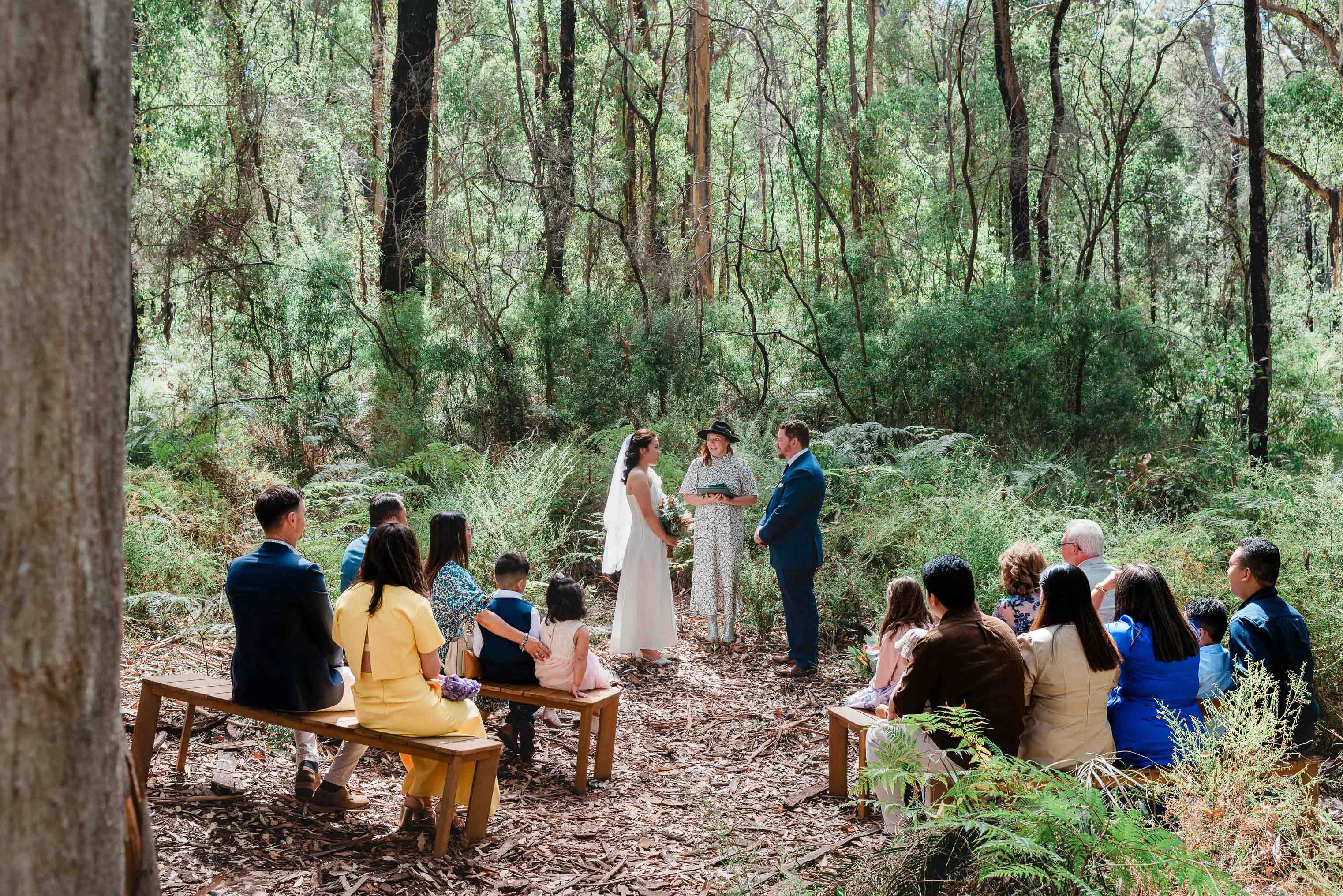 forest micro-wedding ceremony among karri trees near Margaret River with guests on bench seating